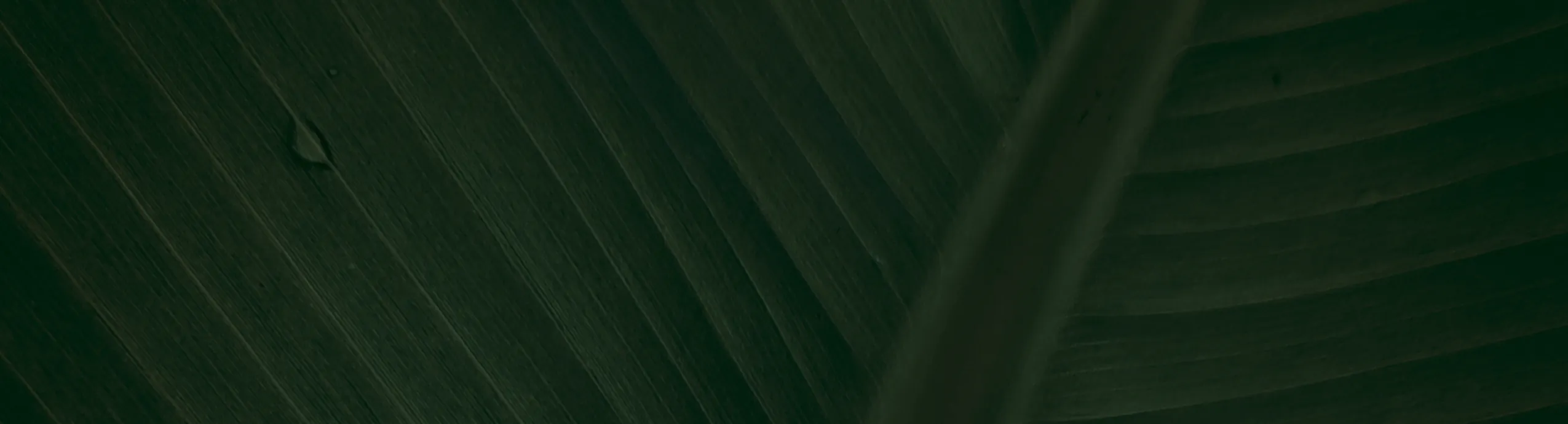 ALUMINIUM CUTTING DISK CIRCULAR SAW BLADE